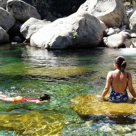 Almavera Casa Pura Vida *