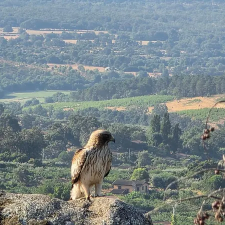 Almavera Casa Pura Vida *