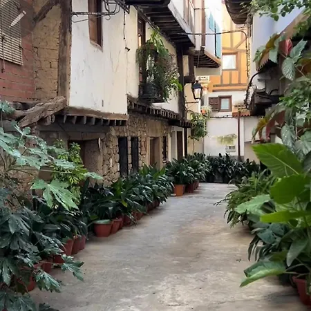 Almavera Casa Pura Vida *