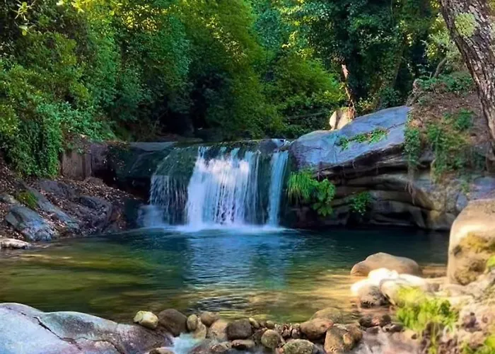 Almavera Casa Pura Vida Madrigal de la Vera