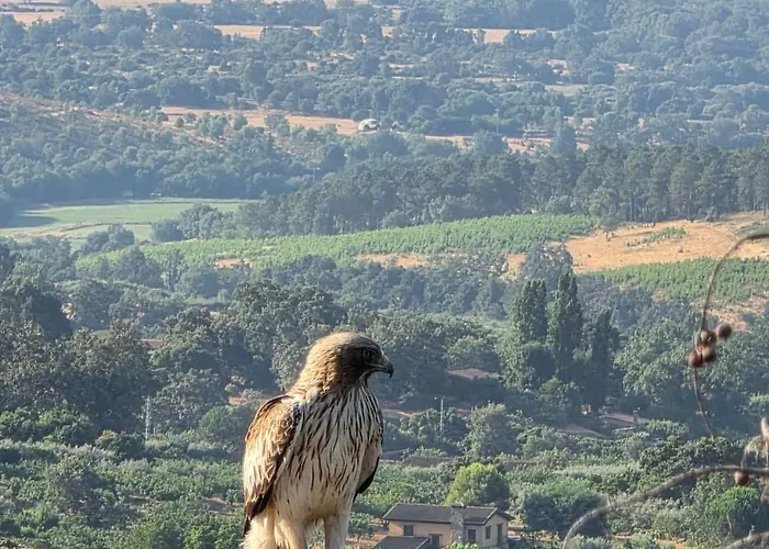 Almavera Casa Pura Vida *