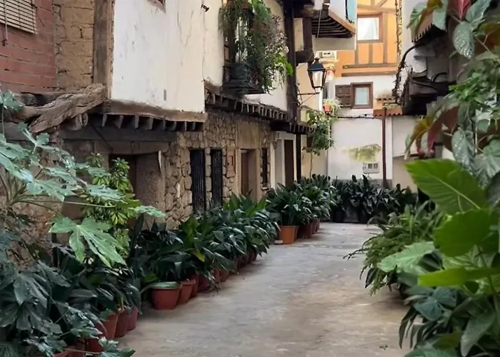 Almavera Casa Pura Vida *