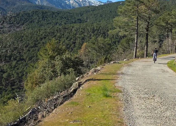 Almavera Casa Pura Vida Apartment